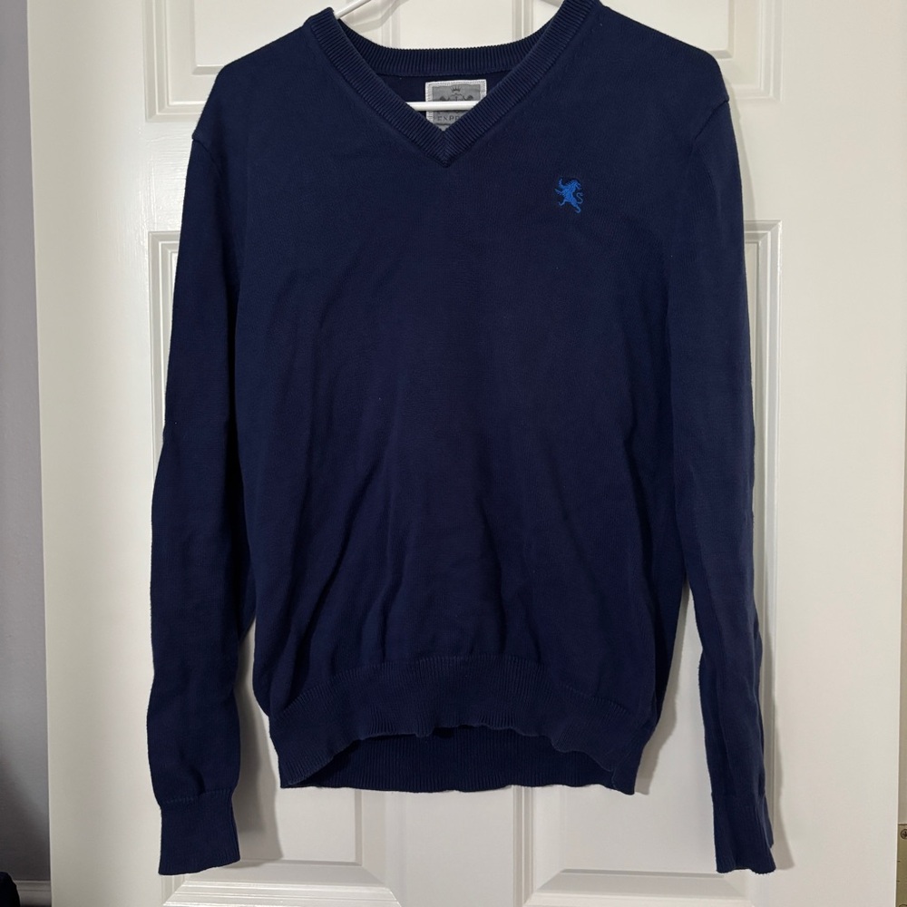 Express Blue V-Neck Sweater Lightweight Knit